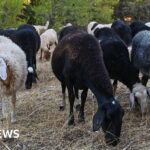 East Yorkshire residents offered £40 for going on money course