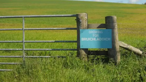 Getty Images A farm gate in front of a field of growing crop and a blue sign saying Growing for Bruichladdich
