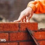 The Rise of the Womanosophere