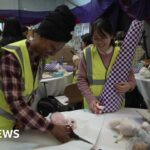 In Advent, Isaiah has a political message for us