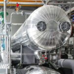 Pope Leo’s first Vatican Christmas crèche carries message of peace