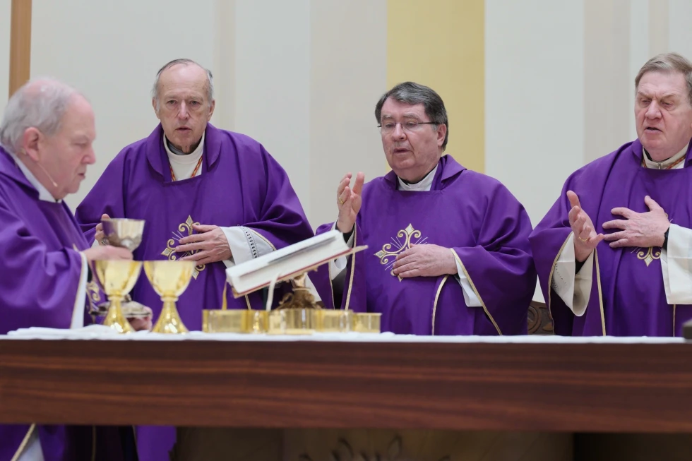 download 2.webp In Minnesota, US cardinals and pope’s ambassador decry mass deportations and call for reconciliation