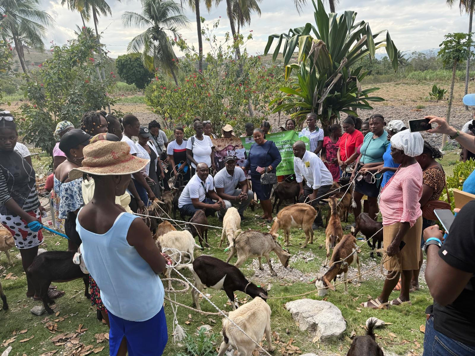 webRNS Haiti Goats1 Deportations surge, aid collapses and faith groups in Latin America struggle to respond
